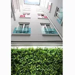 Color Design Hotel 3*